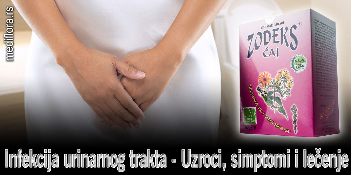 Infekcija Urinarnog Trakta Uzroci Simptomi I Le Enje Mediflora