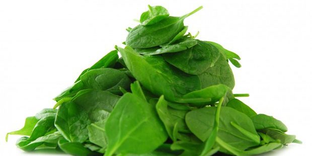 baby-spinach-leaves-620×330
