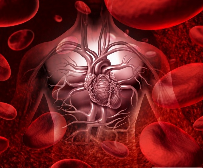 prirodno-prociscavanje-krvi Prirodno pročišćavanje krvi