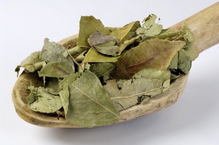 9203Dried-Curry-Leaves grčevi kod beba