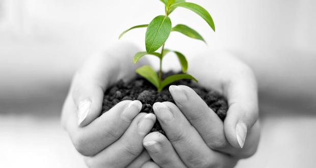 alternativa01 Alternativni lekovi