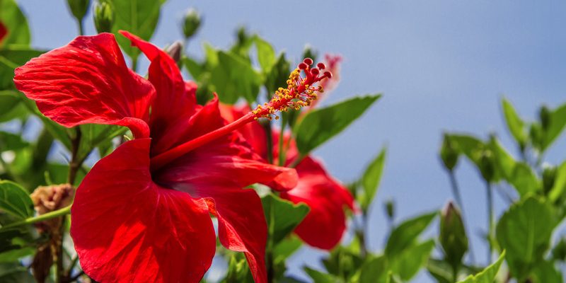 Protiv visokog pritiska