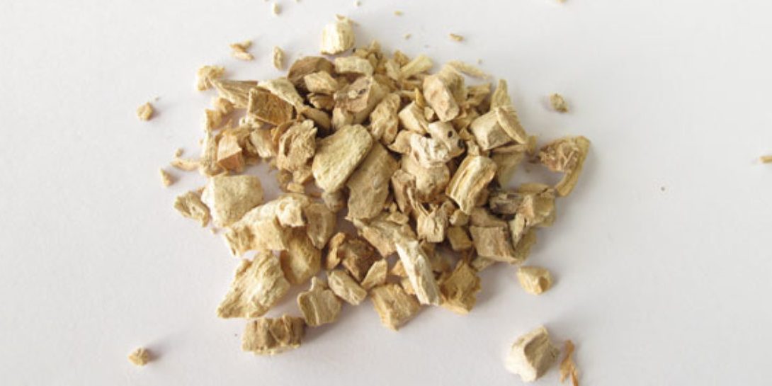 idjirot-1200x545_c biljka iđirot