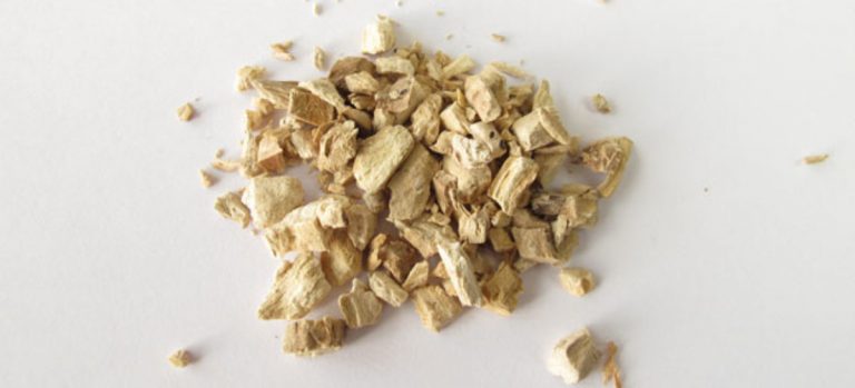 idjirot-1200x545_c biljka iđirot