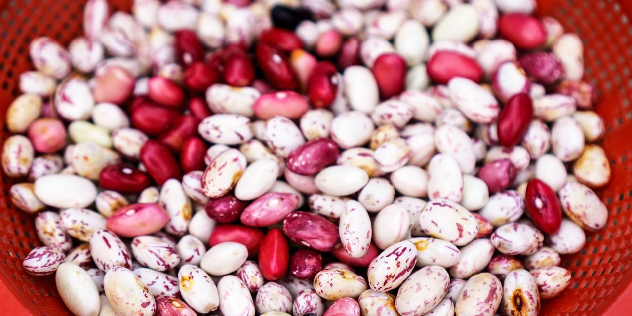 pasulj Kontrolor holesterola