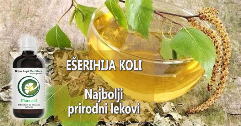 Najbolji prirodni lekovi za ešerihiju koli