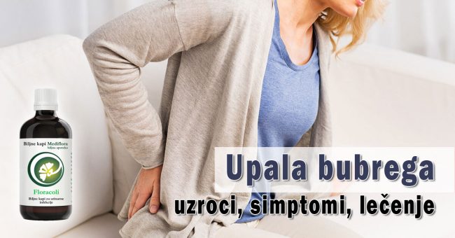 Upala-bubrega-uzroci,-simptomi,-lecenje Upala bubrega uzroci, simptomi, lečenje
