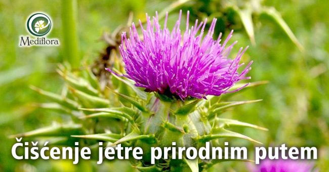 Čišćenje jetre prirodnim putem