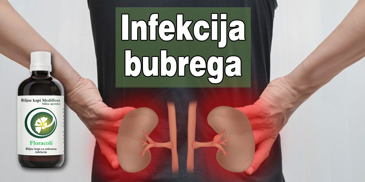 Infekcija bubrega