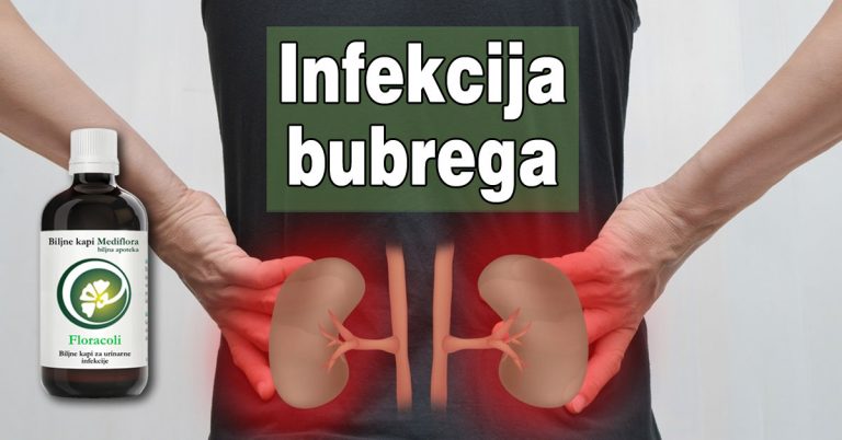 Infekcija bubrega