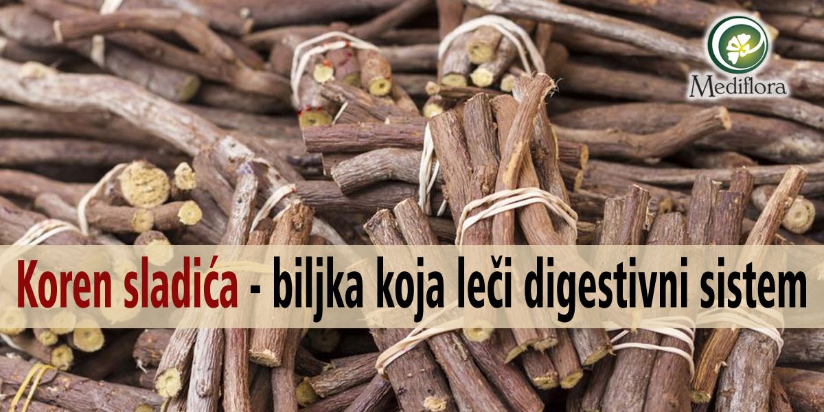 Koren-sladica—biljka-koja-leci-digestivni-sistem