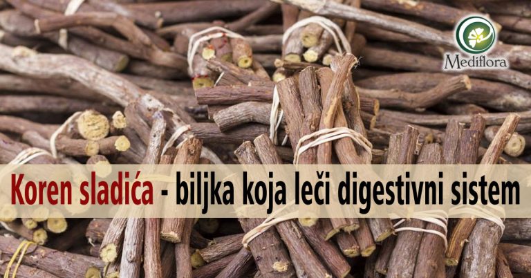 Koren-sladica—biljka-koja-leci-digestivni-sistem
