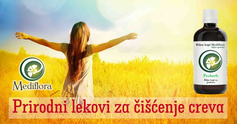 Prirodni lekovi za čišćenje creva