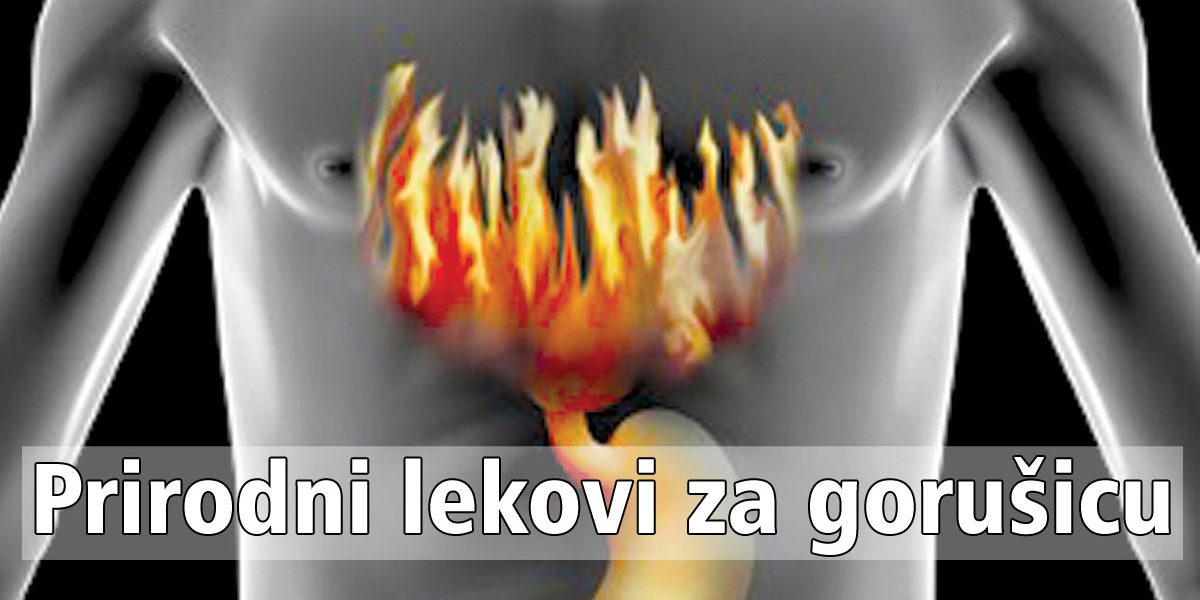 Prirodni-lekovi-za-gorušicu Prirodni lekovi za gorušicu