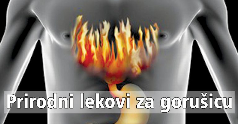Prirodni-lekovi-za-gorušicu Prirodni lekovi za gorušicu