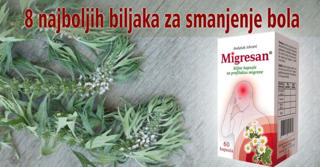 8 najboljih biljaka za smanjenje bola