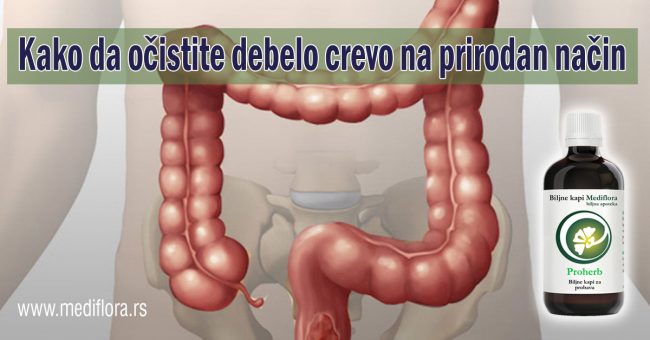 Kako-da-ocistite-debelo-crevo-na-prirodan-nacin Kako da očistite debelo crevo na prirodan način
