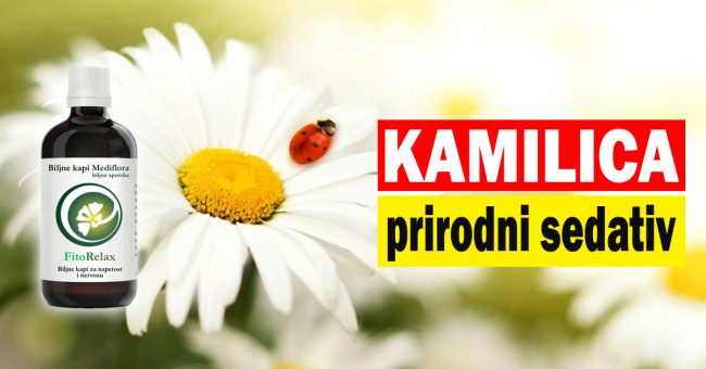 Kamilica—prirodni-sedativ