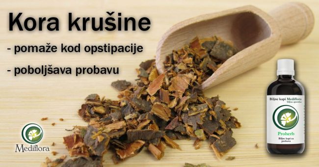 Kora-krušine—pomaže-kod-opstipacije-i-poboljšava-probavu Kora krušine - pomaže kod opstipacije i poboljšava probavu