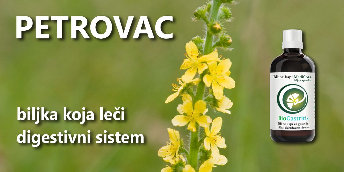 Petrovac—biljka-koja-leci-digestivni-sistem