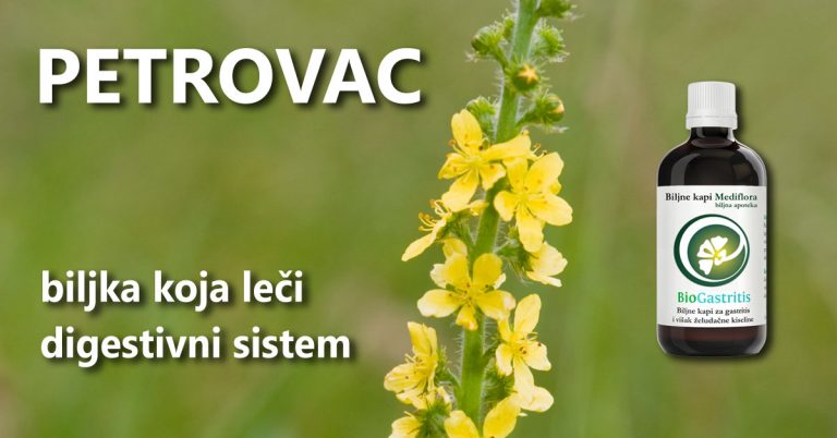 Petrovac—biljka-koja-leci-digestivni-sistem