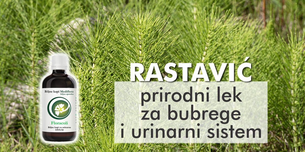 Rastavic—prirodni-lek-za-bubrege-i-urinarni-sistem