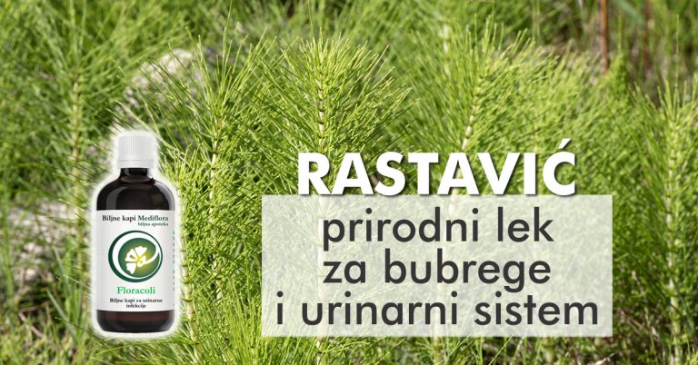 Rastavic—prirodni-lek-za-bubrege-i-urinarni-sistem