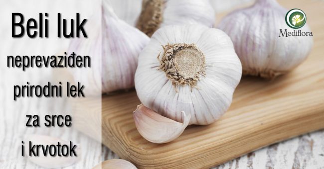 Beli-luk—neprevaziden-prirodni-lek-za-srce-i-krvotok