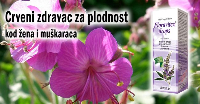 Crveni-zdravac-za-plodnost-kod-žena-i-muškaraca