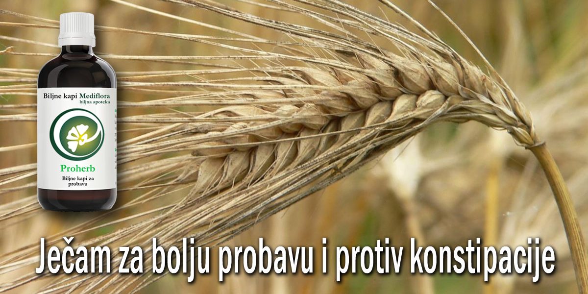 Ječam za bolju probavu i protiv konstipacije