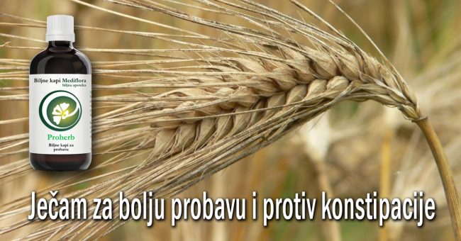 Jecam-za-bolju-probavu-i-protiv-konstipacije Ječam za bolju probavu i protiv konstipacije