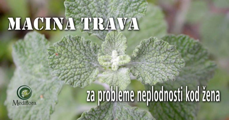 Macina-trava-ocajnica-za-probleme-neplodnosti-kod-žena Macina trava (očajnica) za probleme neplodnosti kod žena
