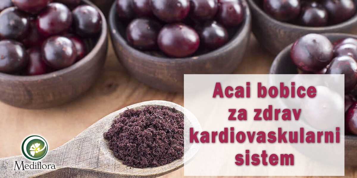 Acai-bobice-za-zdrav-kardiovaskularni-sistem