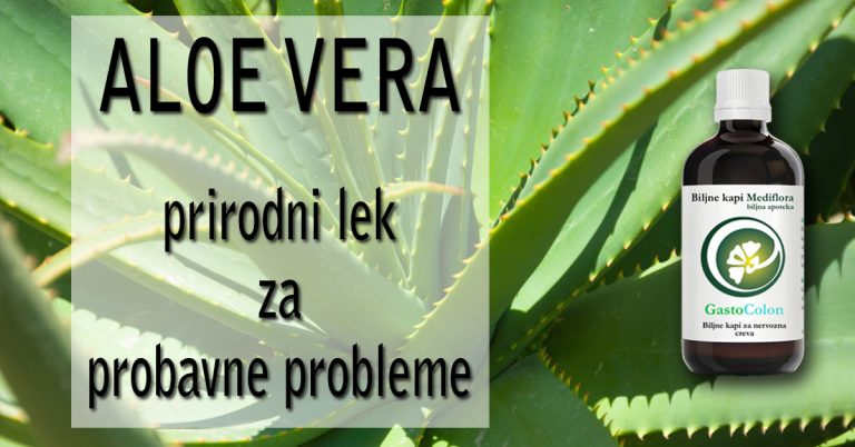 Aloe-vera—prirodni-lek-za-probavne-probleme