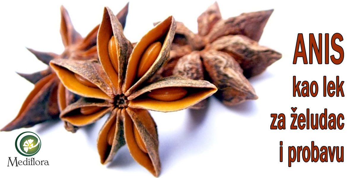 Anis kao lek za želudac i probavu
