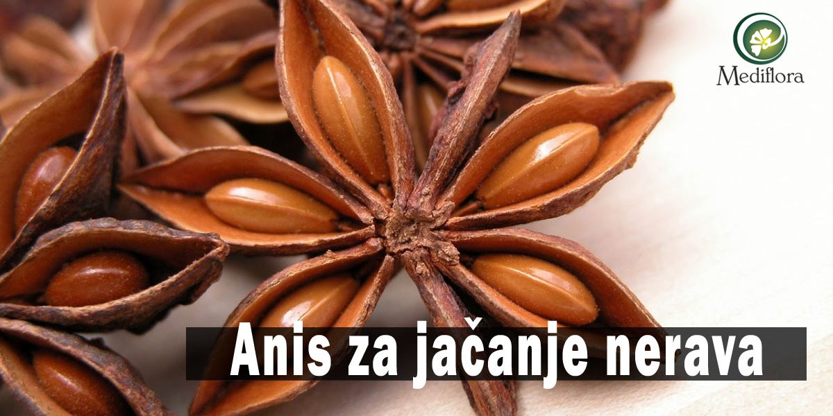 Anis za jačanje nerava