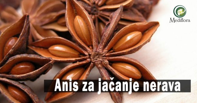 Anis-za-jacanje-nerava Anis za jačanje nerava