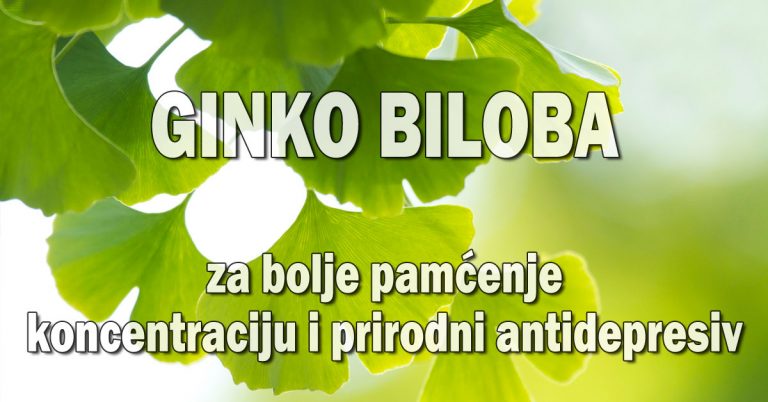 Ginko biloba za bolje pamćenje, koncentraciju i prirodni antidepresiv