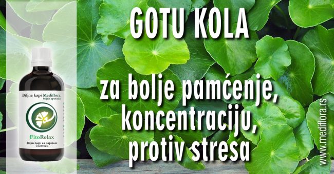 Gotu-kola-za-bolje-pamcenje,-koncentraciju,-protiv-stresa Gotu kola za bolje pamćenje, koncentraciju, protiv stresa