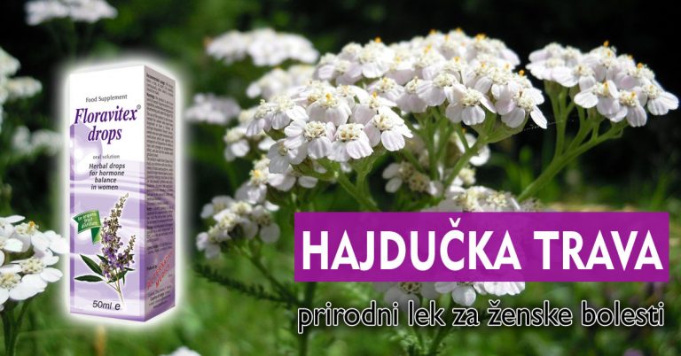 Hajducka-trava—prirodni-lek-za-ženske-bolesti