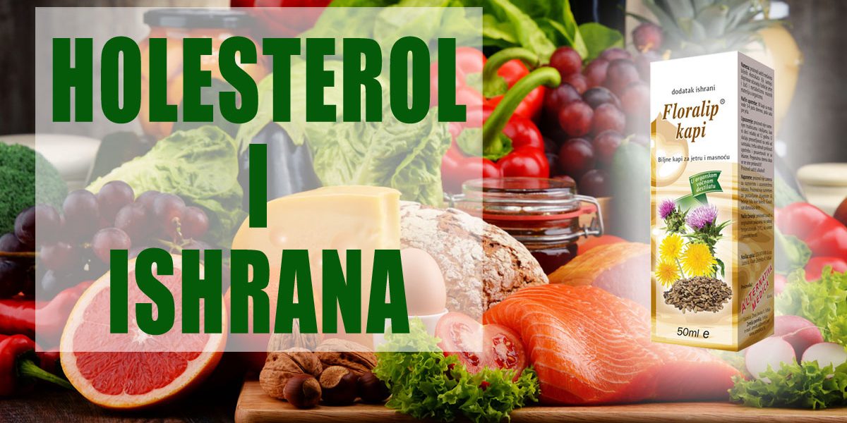 Holesterol-i-ishrana Holesterol i ishrana
