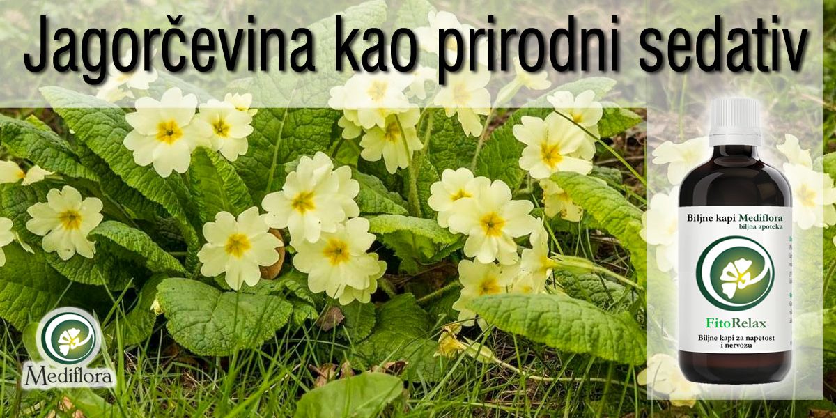 Jagorčevina kao prirodni sedativ