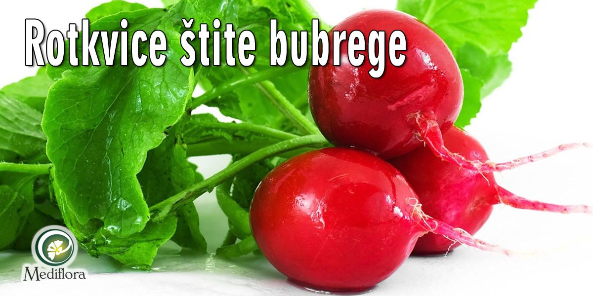 Rotkvice-štite-bubrege Rotkvice štite bubrege