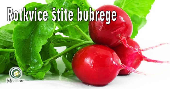 Rotkvice-štite-bubrege Rotkvice štite bubrege