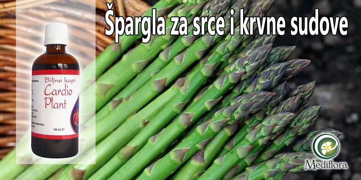 Špargla za srce i krvne sudove