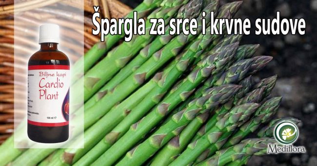 Špargla-za-srce-i-krvne-sudove Špargla za srce i krvne sudove