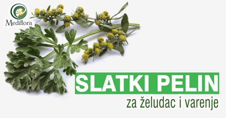 slatki-pelin-za-želudac-i-varenje slatki pelin za želudac i varenje