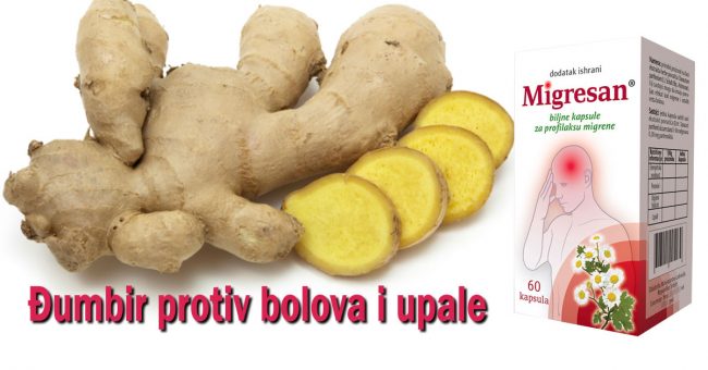 Ðumbir-protiv-bolova-i-upale