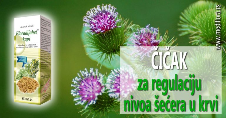 Cicak-je-idealan-za-regulaciju-nivoa-šecera-u-krvi