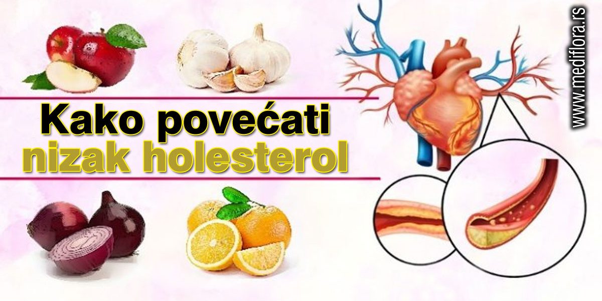 Kako-povecati-nizak-holesterol Kako povećati nizak holesterol